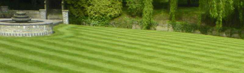 lawn-partners004.jpg