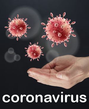 common lawn problems