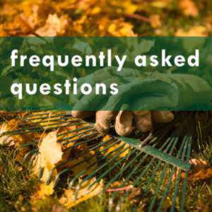 frequently asked questions